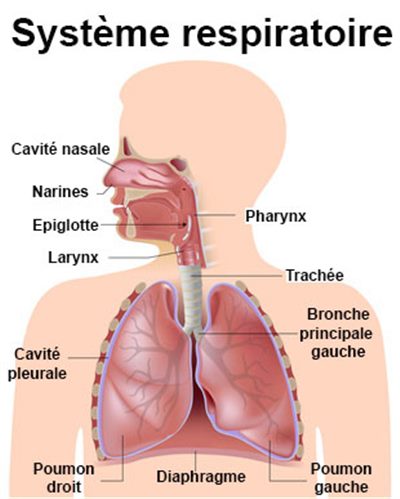 Corps étranger des voies respiratoires