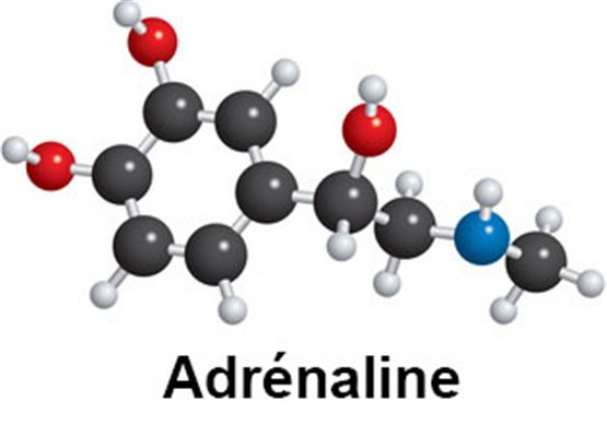 Adrénaline