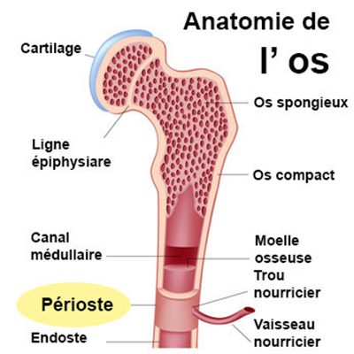 Périostite