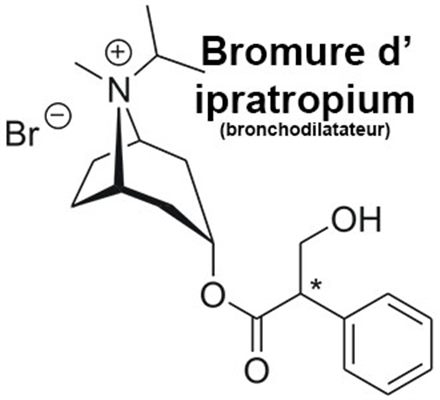 Bronchodilatateurs