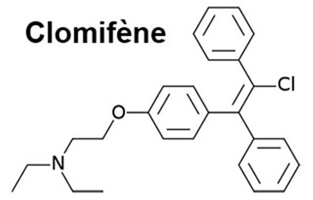 Inducteurs de l'ovulation