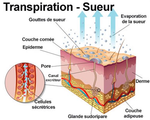 Ionophorèse