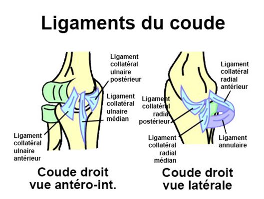 Entorse du coude