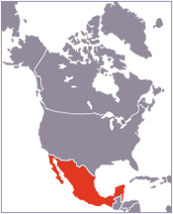 carte du Mexique